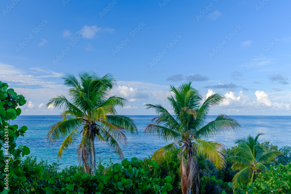 Coconut bearing palm trees and small atolls and islands dot the Florida Keys area