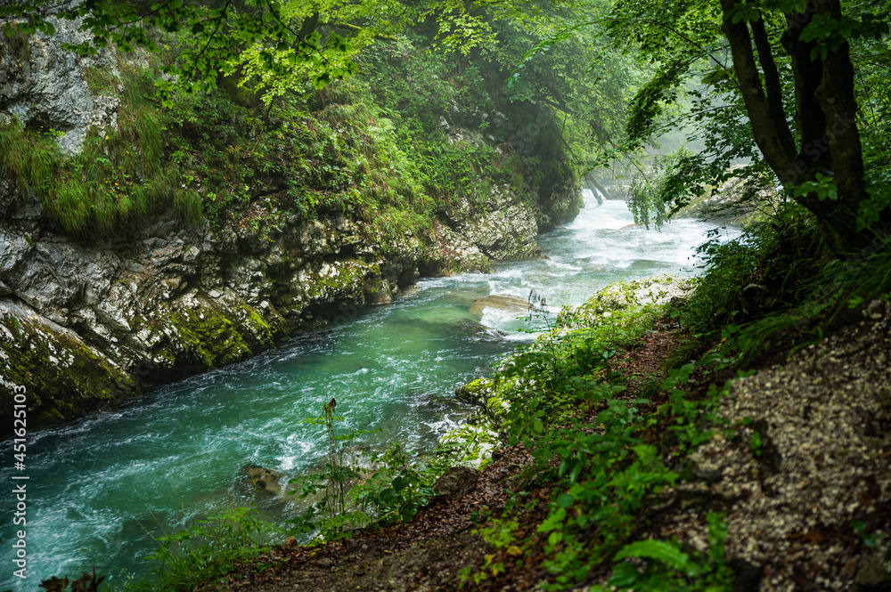 Hiking trail along the clear river through the Vintgar Gorge in Slovenia Hiking trail along the clear river through the Vintgar Gorge in Slovenia