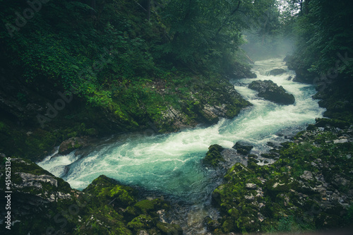 Clear mountain stream rapids with green blue water in the forest