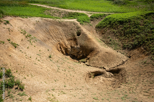 Sinkholes of drained Lake Cerknica (Cerkniško jezero) during the dry period in summer