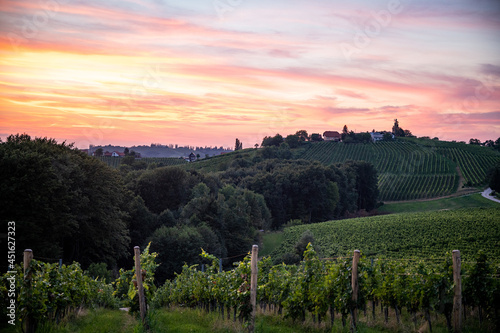 Sunset over the vineyards in Slovenia photo