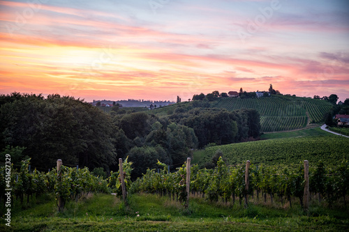 Sunset over the vineyards in Slovenia
