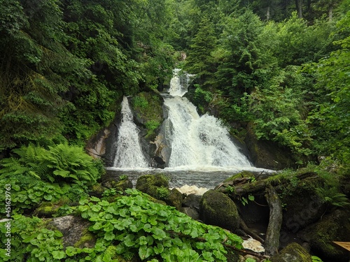 Triberger Wasserfälle im Wald. Fluss