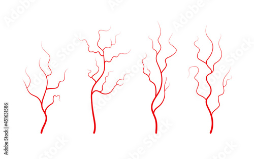 Set of human veins and arteries. Red branching blood vessels and capillaries. Vector illustration isolated on white background.