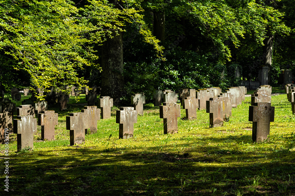 Naklejka premium Gräberfeld auf dem Waldfriedhof in Stuttgat