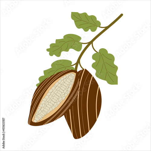 hite chocolate candy for use in website design or clipart