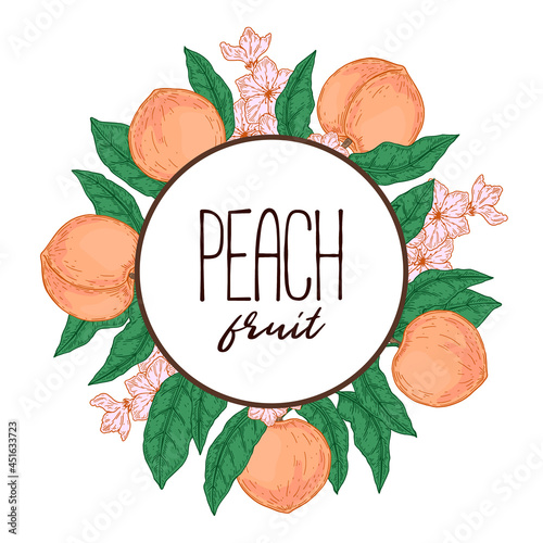 Hand drawn peach frame. Vector illustration in sketch style