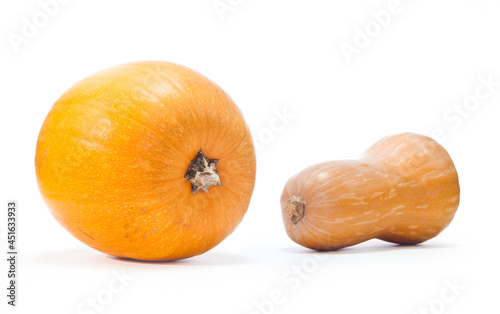 Pumpkin and butternut squash isolated on white background. Autumn vegetables