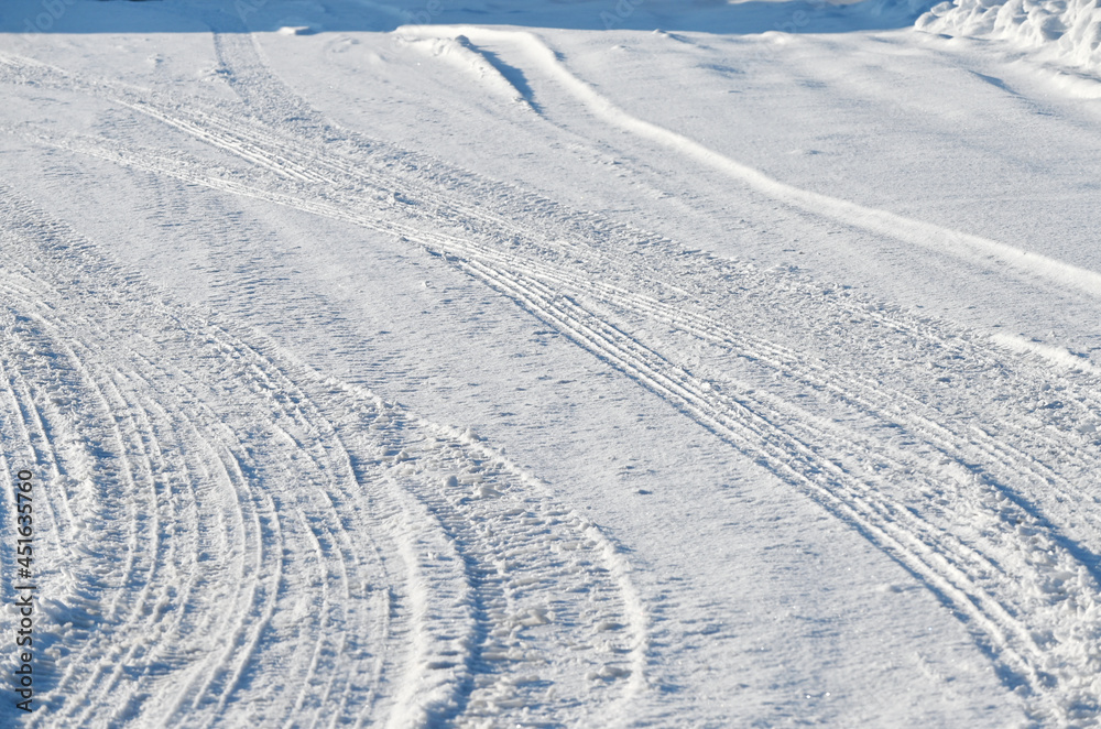 Tracks in the Snow