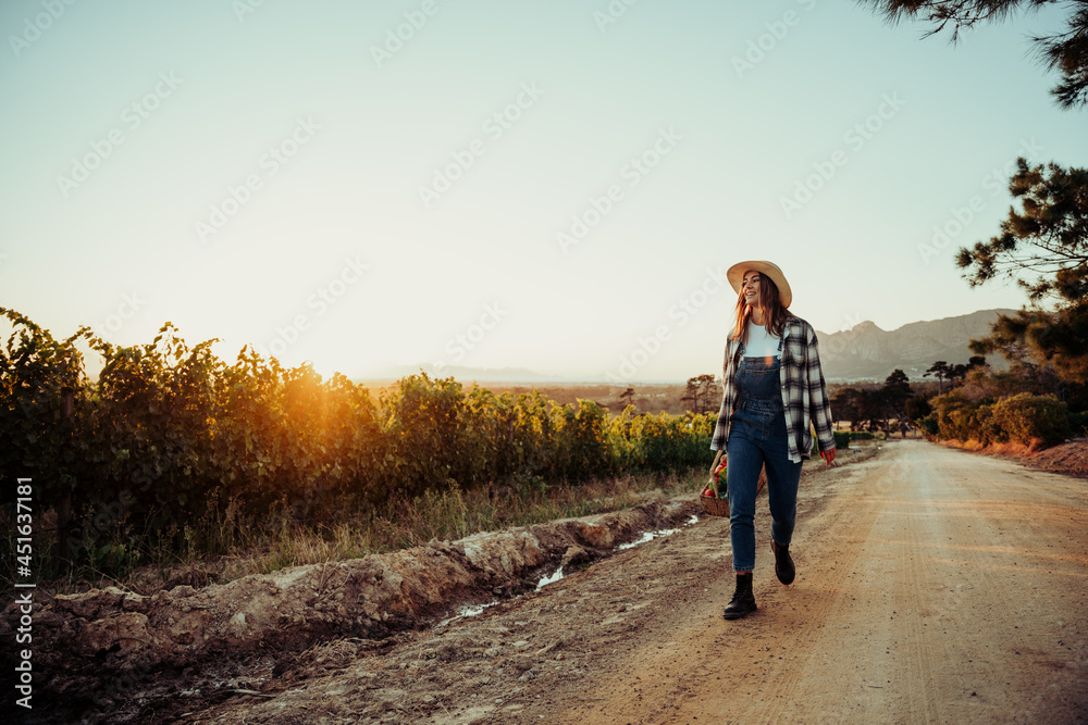 Obraz premium Caucasian female farmer walking through vineyards at sunrise holding basket of fresh vegetables