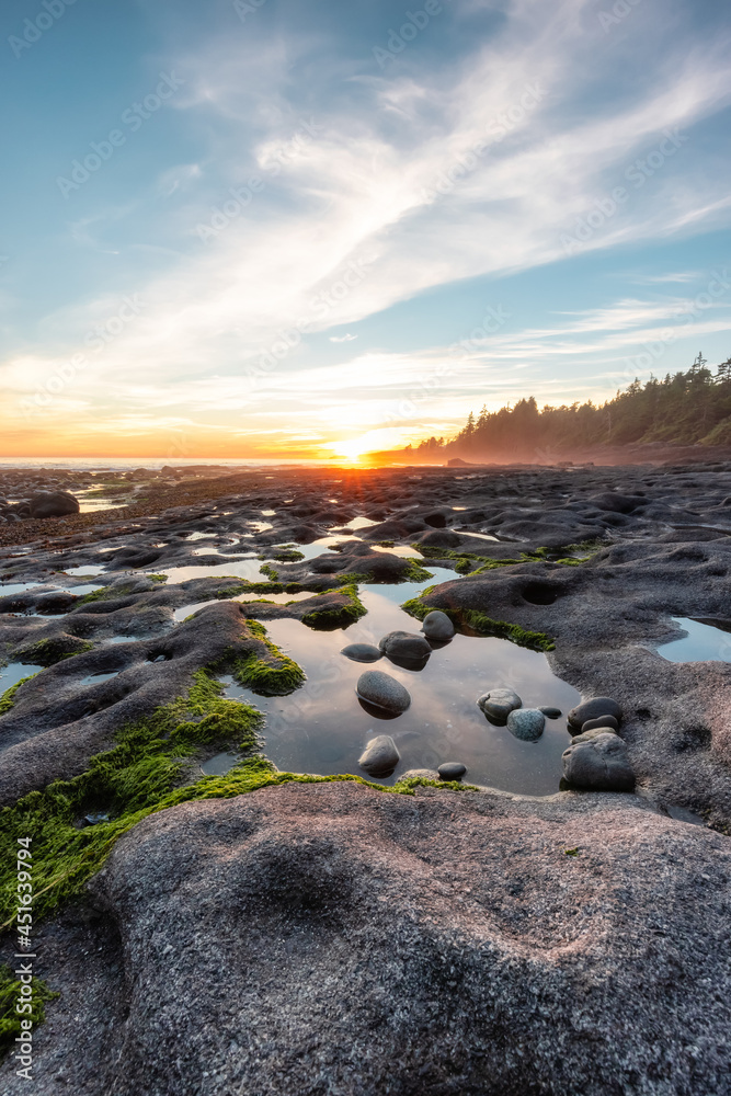 Botanical Beach on the West Coast of Pacific Ocean. Summer Sunny Sunset. Canadian Nature Landscape Background. Located in Port Renfrew near Victoria, Vancouver Island, British Columbia, Canada. Botanical Beach on the West Coast of Pacific Ocean. Summer Sunny Sunset. Canadian Nature Landscape Background. Located in Port Renfrew near Victoria, Vancouver Island, British Columbia, Canada.