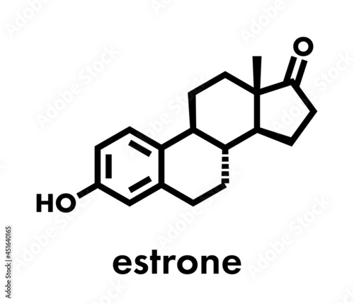 Estrone (oestrone) human estrogen hormone molecule. Skeletal formula. photo