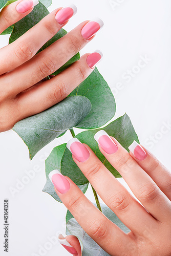 Fototapeta Naklejka Na Ścianę i Meble -  Well-groomed female hands with French manicure on a eucalyptus background. High quality photo