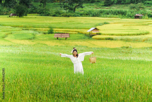 females,asian and indian ethnicities,25-29 years,nature,plant,landscape - scenery,mountain,rice paddy,farm,travel,no people,environment,land,valley,plantation,terraced field,rural scene,rice terrace 