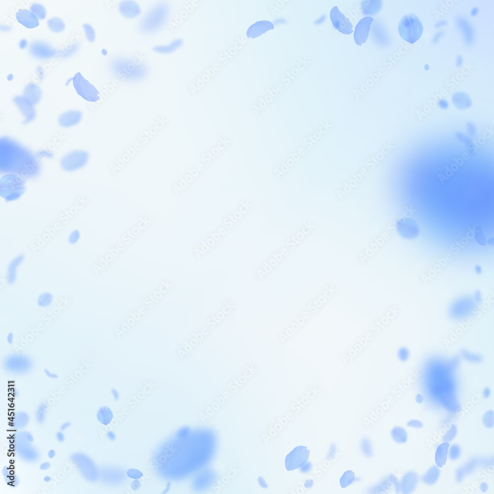 Dark blue flower petals falling down. Surprising r Dark blue flower petals falling down. Surprising r