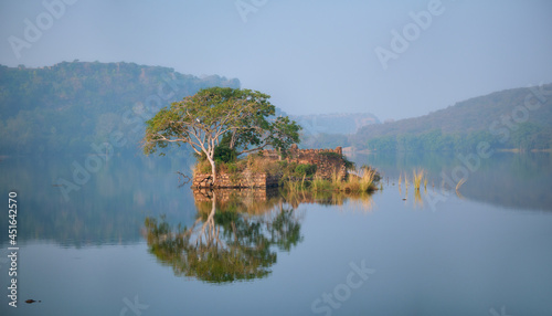 Serene morning on lake Padma Talao. Ranthambore National Park, Rajasthan, India photo