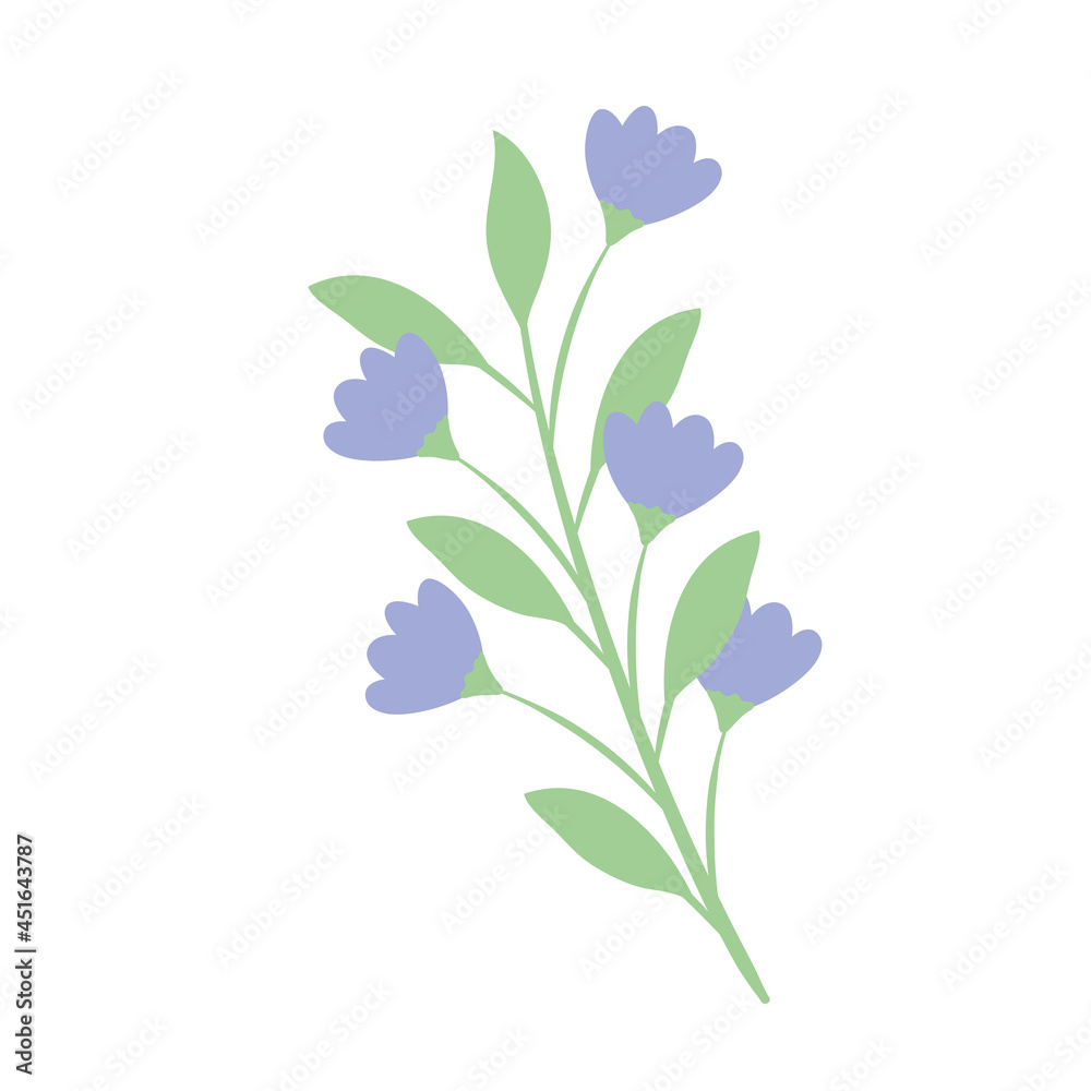 lilac flowers branch lilac flowers branch