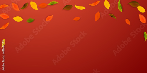 Falling autumn leaves. Red, yellow, green, brown n