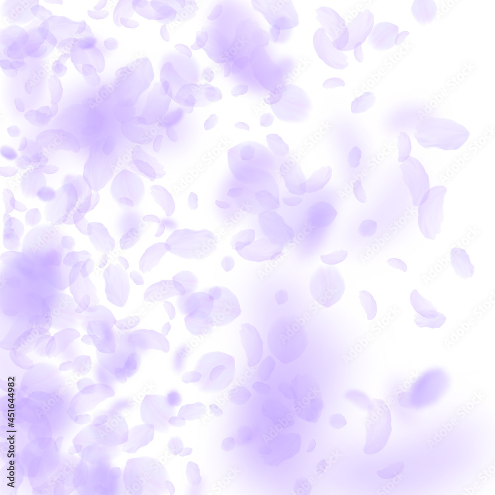 Violet flower petals falling down. Exceptional rom Violet flower petals falling down. Exceptional rom