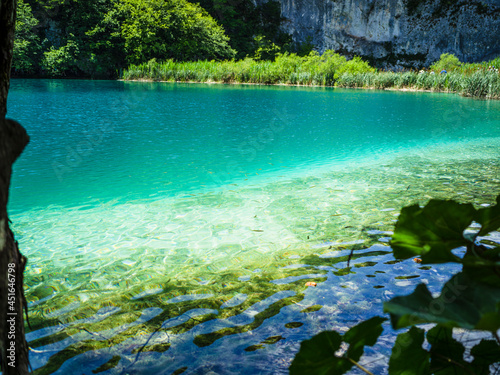 Fototapeta Naklejka Na Ścianę i Meble -  pure water in a moutain lake