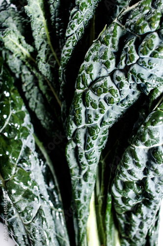 Fresh black kale from the garden on a white background