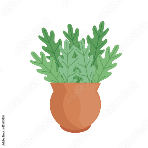 houseplant in orange pot