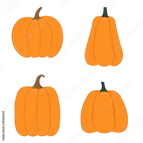 Set of pumpkins in various shapes. Thanksgiving and Halloween elements. Template for autumn decorative design.