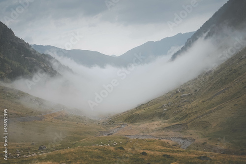 Niebla en la montaña