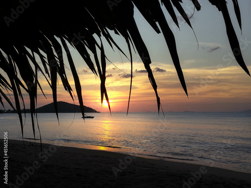 Atardecer bajo palmeras en la playa