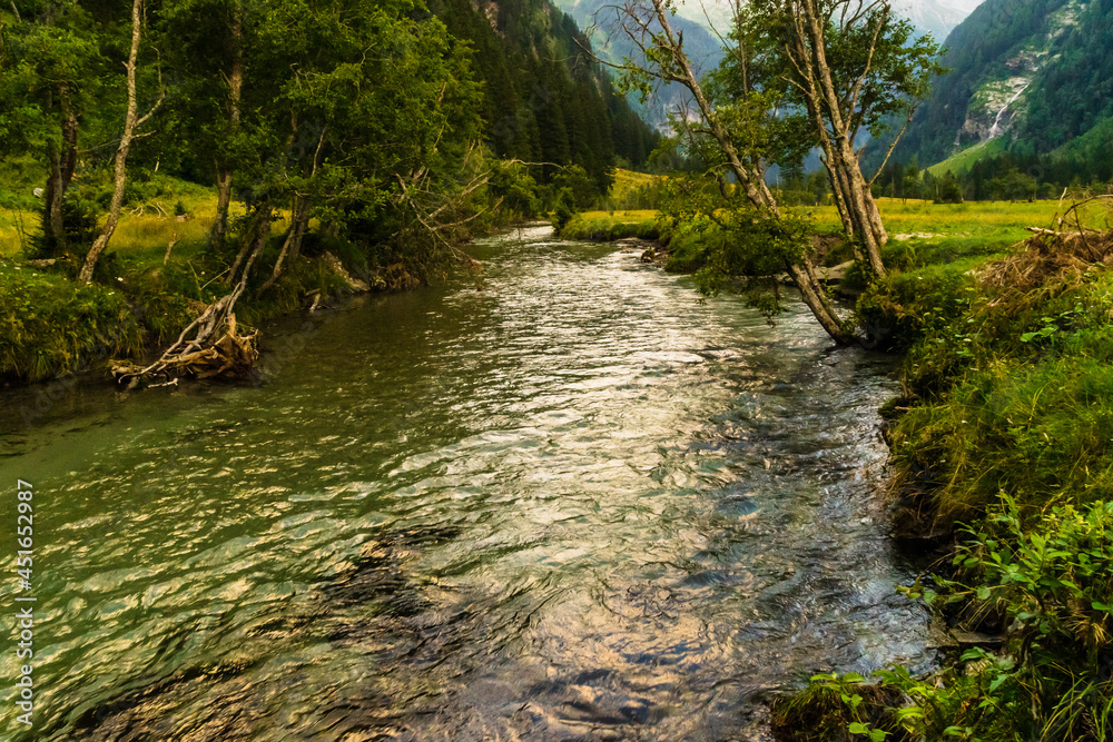Fototapeta premium mountain river in the forest