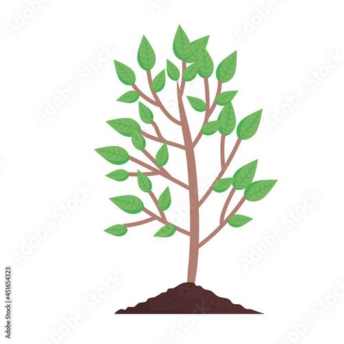 plant nature icon
