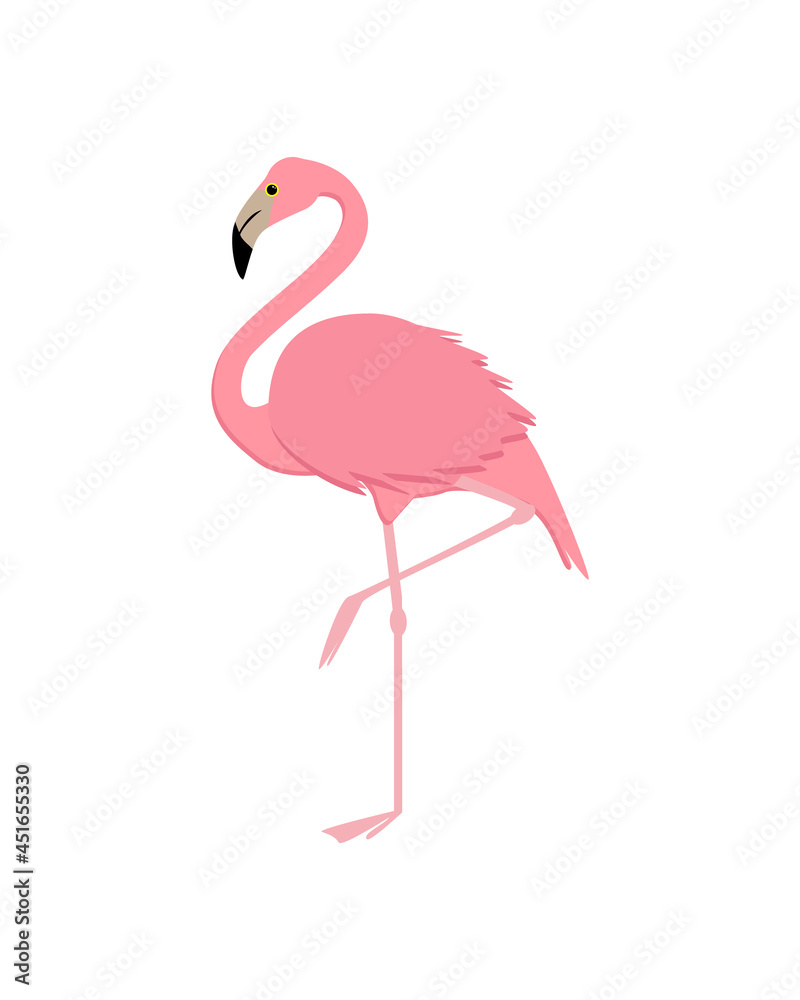 Pink flamingo vector illustration isolated on white background. Cartoon style