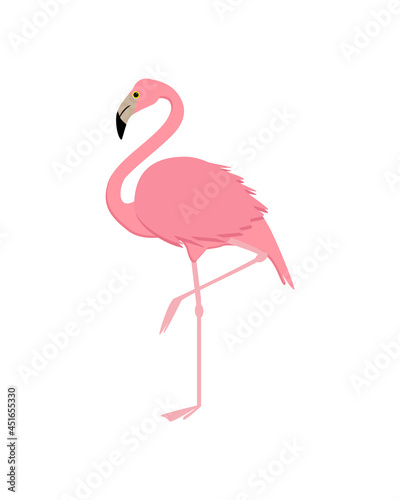 Obraz na płótnie Pink flamingo vector illustration isolated on white background. Cartoon style w salonie