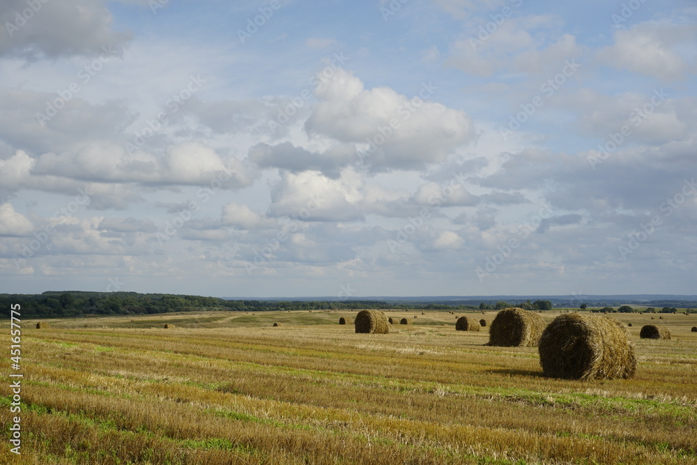 Rural landscape. Harvested field and straw bales. Blue sky. Horizon. August. Summer is over. Rural landscape. Harvested field and straw bales. Blue sky. Horizon. August. Summer is over.