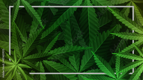 Rectangular frame decorated with cannabis foliage. Green backdrop with cannabis leafs and white line frame