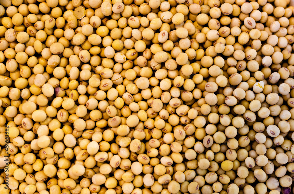 texture of soy beans texture of soy beans