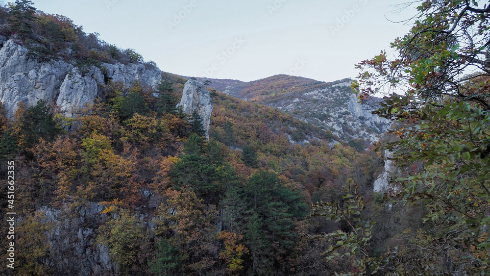 autumn forest in the mountains