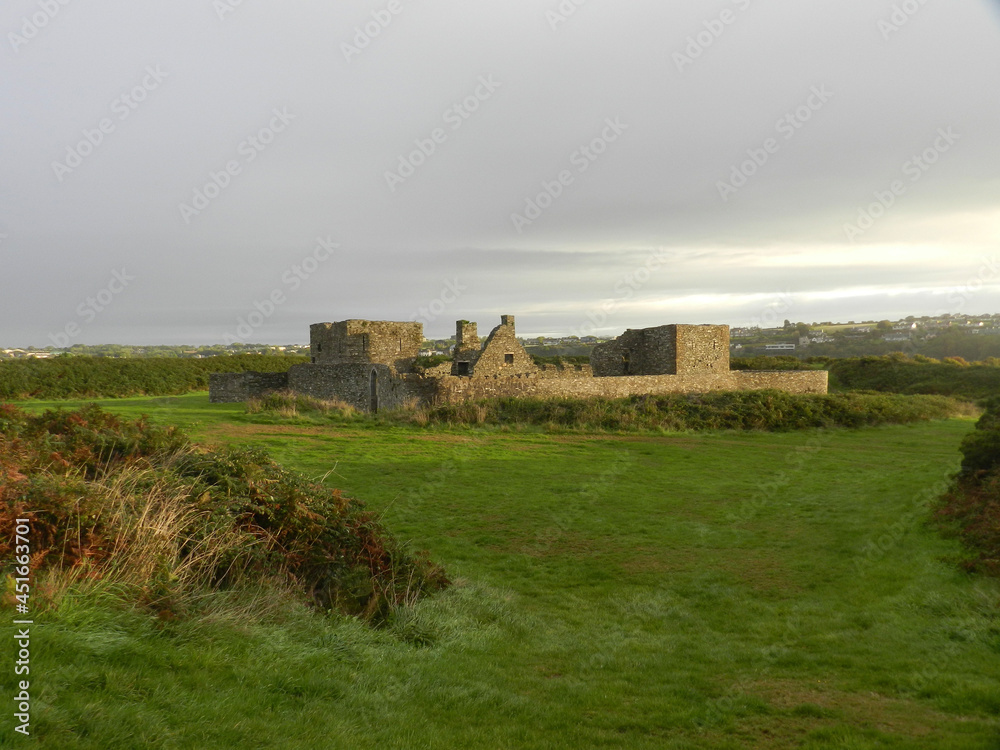 ruins of castle