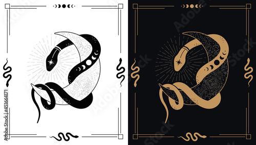Canvas Print Magic snake wraps around crescent