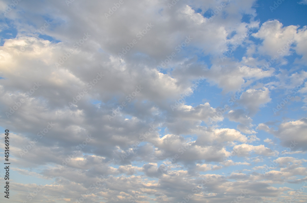 Fototapeta premium Blue sky with cumulus clouds. Natural texture or background