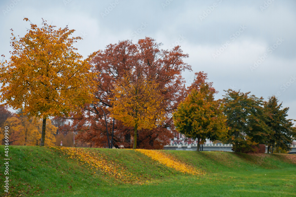 walking promenade with trees covered with yellow leaves.Autumn landscape