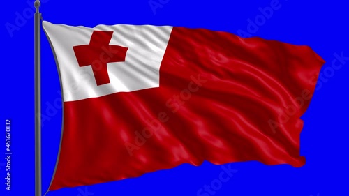 Flag of Tonga with alpha channel. photo