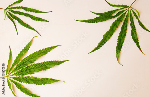 Obraz na plátně Green leaves of natural marijuana on a white background