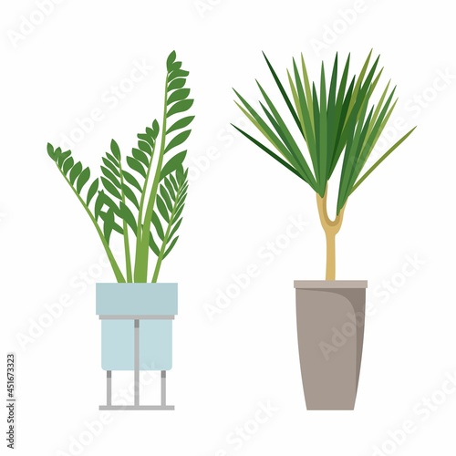 A set of stylish fashionable indoor plants for the house. Isolated on a white background. Dracaena, monstera, boxwood, spatifilum, ficus benjamin, pineapple, zamiokulkas. Color flat vector