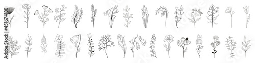 Floral branch. Vintage set of hand drawn branches, leaves and flowers. Hand drawn sketch branches isolated on white background. Vector illustration