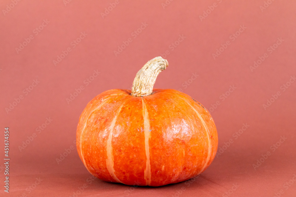 Obraz premium orange pumpkin isolated on brown background, empty space for text 