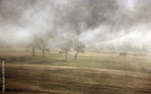 Polana drzewa we mgle panorama