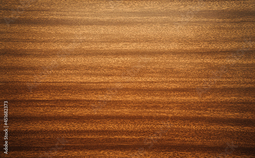 The texture of premium mahogany of the highest quality for the manufacture of furniture. An empty space for the text.