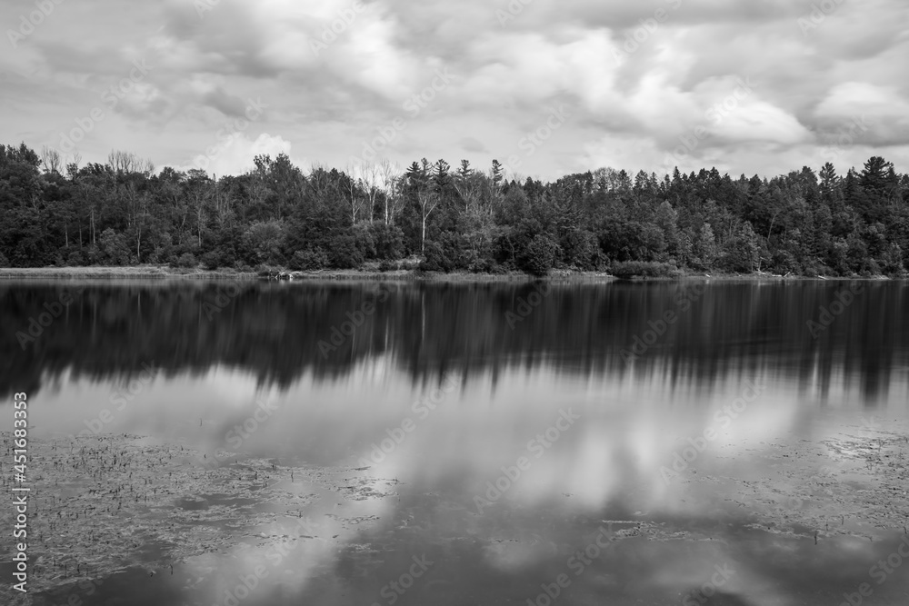 Fototapeta premium River and forest on a cloudy, summers day
