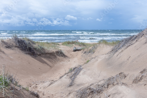 sand beach and stormy sea